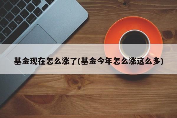 基金现在怎么涨了(基金今年怎么涨这么多)