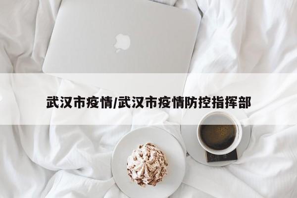 武汉市疫情/武汉市疫情防控指挥部