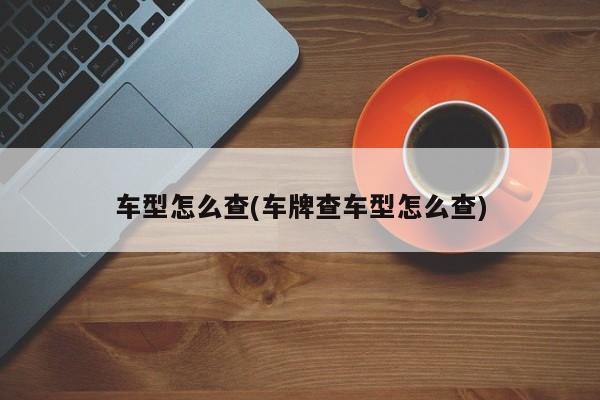 车型怎么查(车牌查车型怎么查)