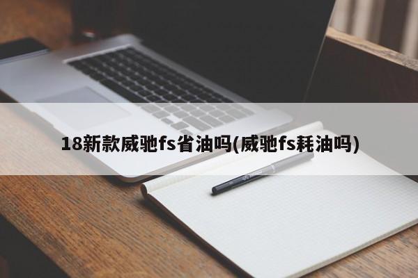 18新款威驰fs省油吗(威驰fs耗油吗)