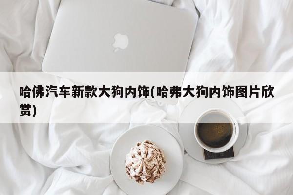 哈佛汽车新款大狗内饰(哈弗大狗内饰图片欣赏)