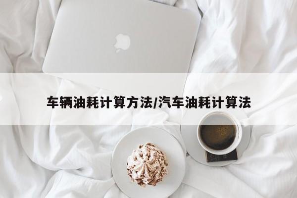 车辆油耗计算方法/汽车油耗计算法
