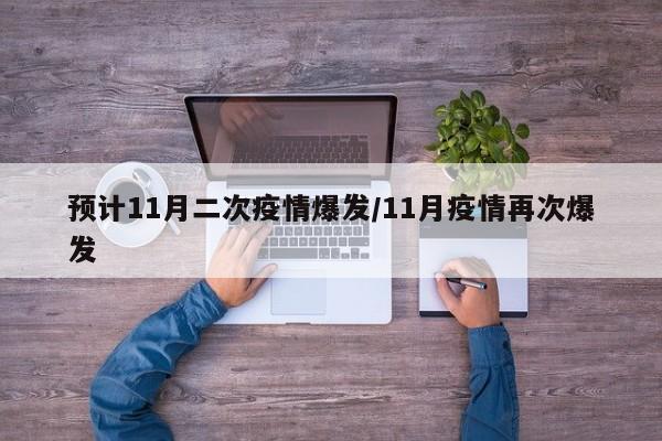 预计11月二次疫情爆发/11月疫情再次爆发