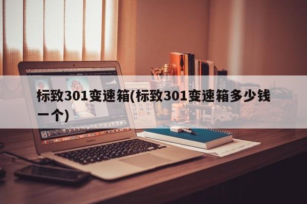 标致301变速箱(标致301变速箱多少钱一个)