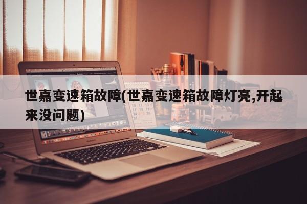 世嘉变速箱故障(世嘉变速箱故障灯亮,开起来没问题)
