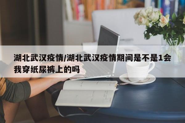湖北武汉疫情/湖北武汉疫情期间是不是1会我穿纸尿裤上的吗