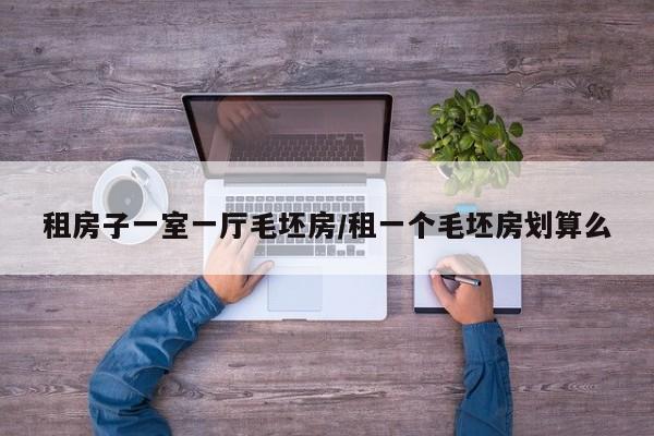 租房子一室一厅毛坯房/租一个毛坯房划算么
