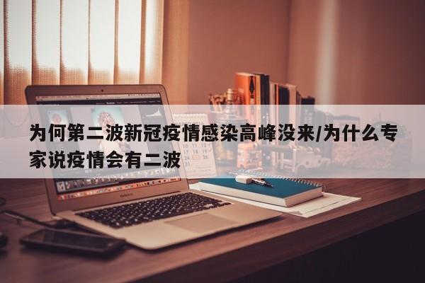 为何第二波新冠疫情感染高峰没来/为什么专家说疫情会有二波