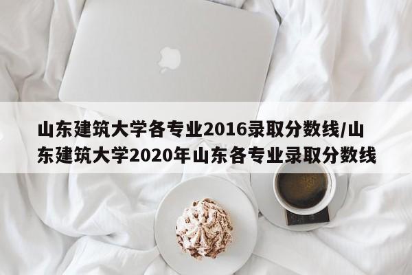 山东建筑大学各专业2016录取分数线/山东建筑大学2020年山东各专业录取分数线