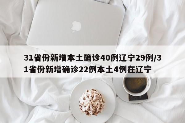 31省份新增本土确诊40例辽宁29例/31省份新增确诊22例本土4例在辽宁