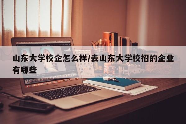 山东大学校企怎么样/去山东大学校招的企业有哪些