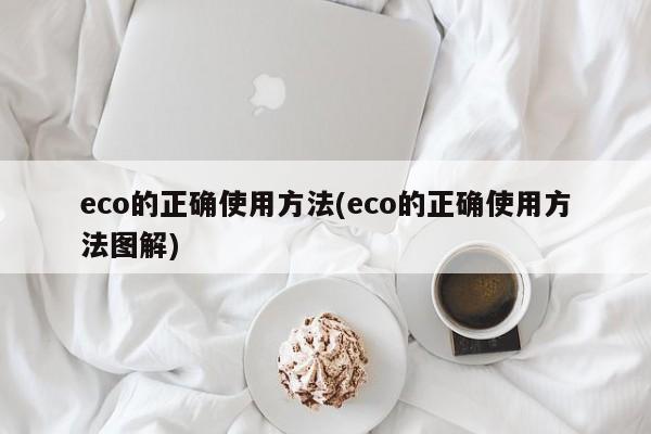 eco的正确使用方法(eco的正确使用方法图解)